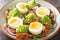 Romanesco cabbage salad with bacon, boiled eggs, red onion and microgreens closeup on the plate. Horizontal