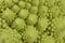 Romanesco cauliflower background