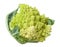 Romanesco cauliflower isolated