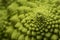 Romanesco cauliflower macro