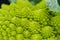 Romanesco green cauliflower