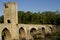 Romanesque bridge in frias