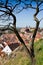 Romanesque St. Procopius basilica and monastery, jewish town Trebic UNESCO, the oldest Middle ages settlement of jew community in