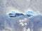 Romania, Baiului Mountains, Viewpoint from Cazacu Peak to Bucegi Mountains.