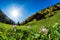 Romania beautiful landscape Bucegi Mountain in the fall