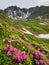 Romania, Bucegi Mountains, Tiganesti Valley