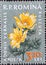 Romania - Circa 1959: a postage stamp printed in the Romania showing flowering flora from Romania: Adonis vernalis