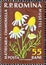 Romania - Circa 1959: a postage stamp printed in the Romania showing flowering flora from Romania: Matricaria chamomilla