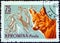 ROMANIA - CIRCA 1961: A stamp printed in Romania from the `Forest Animals` issue shows a Red fox, circa 1961.