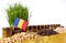 Romania flag waving with stack of money coins and piles of wheat