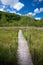 Romania - Pesteana marsh (Bottomless Lake)