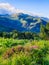 Romania, Piule Mountains, viewpoint to Retezat Mountains