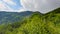 Romania, Rodnei Mountains, fresh forest after rain.