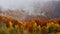 Romania wild Carpathian mountains in the autumn time landscape