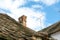 Romanian ceramic shingle roof with brick chimney