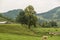 Romanian hillside and village in summer time