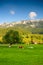 Romanian landscape in Transylvania , Carpathian mountains  , Plaiul Foii farming