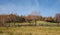 Romanian old sheepfold on the hill in the fall season