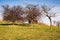 Romanian old sheepfold on the hill in the fall season