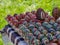 Romanian tradition of hand decorated easter eggs with symbolic and religious motifs