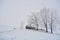 Romanian traditional barn located behind some trees full of snow in fall season