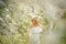 Romanic young blonde woman in white dress walking among white blooming cherry trees