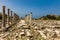 Romans ruins Tyre Sur South Lebanon