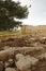 Romans town Antipatris ruins