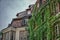 Romantic balcony with ivy in Strassburg