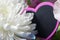 Romantic bouquet of flowers closeup with pink heart chalkboard s