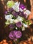 Romantic bouquets of flowers