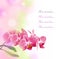 Romantic card with pink orchid