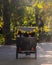 Romantic Carriage Ride in the Park