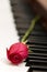 Romantic concept - red rose on piano keys