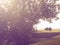 Romantic couple on a bench under a tree