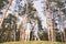 Romantic couple standing in a coniferous forest