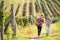 Romantic couple walking through vineyard