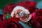 Romantic details engagement rings amidst red and pink roses