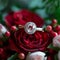 Romantic details engagement rings amidst red and pink roses