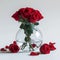 Romantic elegance Red roses in glass vase on white background