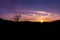 Romantic evening sky with cloud and piece of sun at sunset with lonely tree and mountain in background silhouette.