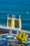 Romantic event, bottle with cold sparkling wine, cava or champagne served with two glasses on table with sea view and palm tree