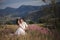 Romantic fairytale couple newlyweds kissing and embracing on a background of mountains