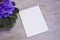 Romantic female flatlay still life. Beautiful violet flower and white blank notepad