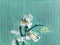 romantic flowers delicate green colour texture canvas details oilpainting