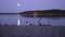 Romantic full moon night at lake, calm water level with moon rays. Ducks swiming on lake