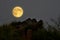 Romantic full moon over rock cliff with green grass