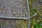 Romantic garden walkway in the park. the curb is modeled from cement and concrete in the shape of branches, trunk, stump and roots