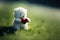 A Romantic Gesture, Teddy Bear with Heart in the Summer Grass. Generative AI