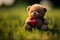 A Romantic Gesture, Teddy Bear with Heart in the Summer Grass. Generative AI